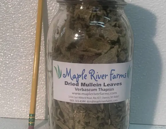 1 1/2 oz Jar Dried Leaves