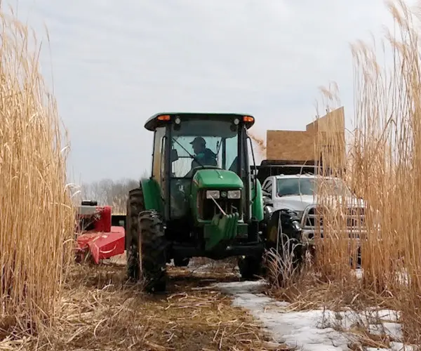 Tractor working in a field