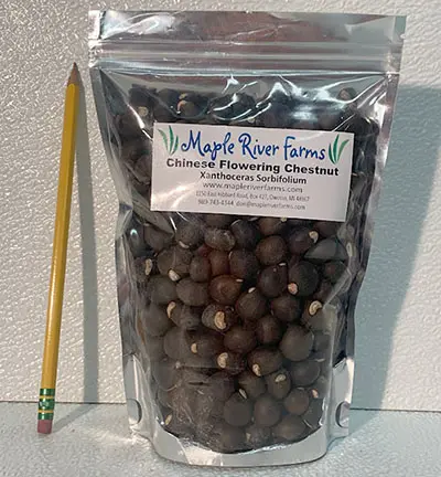 Sealed chestnut package with pencil