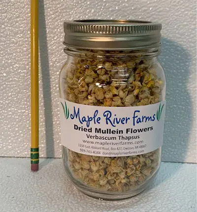 Herbal mullein flowers for sale