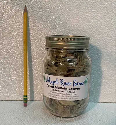 Mullein leaves jar beside a yellow pencil