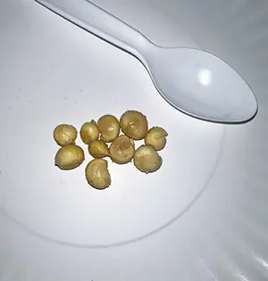Plate with seeds and white spoon