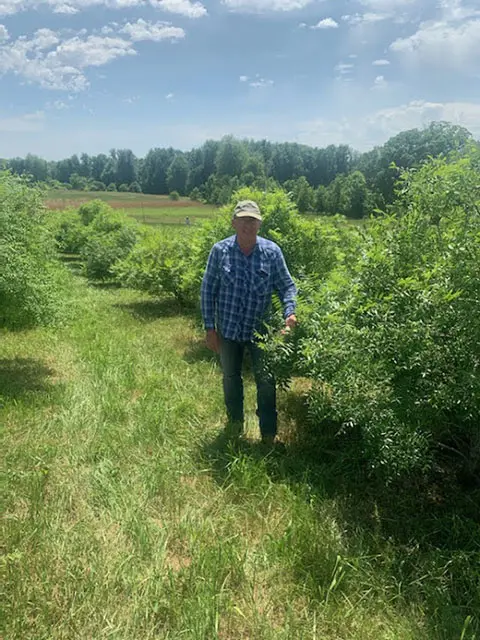 Man walking through lush green field