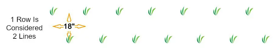 hedgerow_p