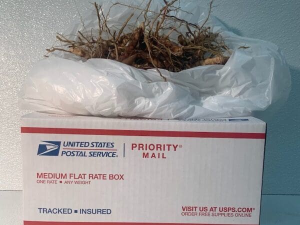 USPS Priority Mail box with plant roots
