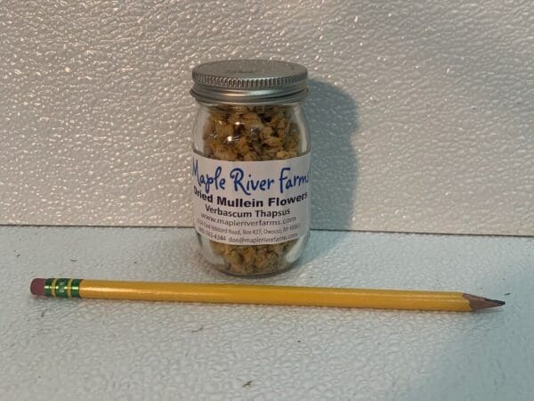 Glass jar of dried mullein beside pencil