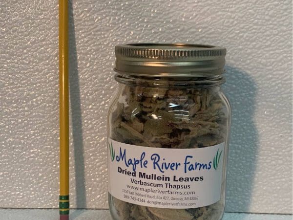 Mason jar of dried mullein leaves