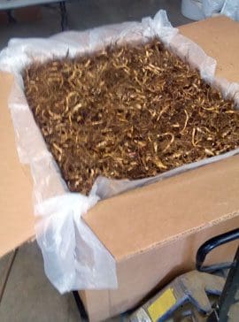 Open cardboard box with dried leaves