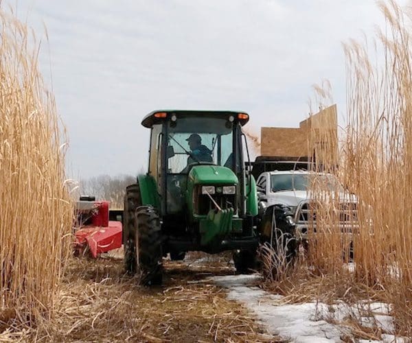 Tractor working in a field